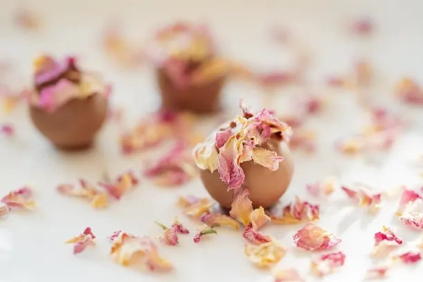 LottoKings Kasino Apl Android/iOS